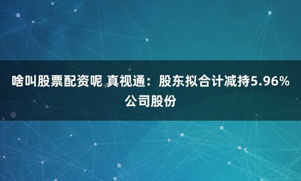 啥叫股票配资呢 真视通：股东拟合计减持5.96%公司股份
