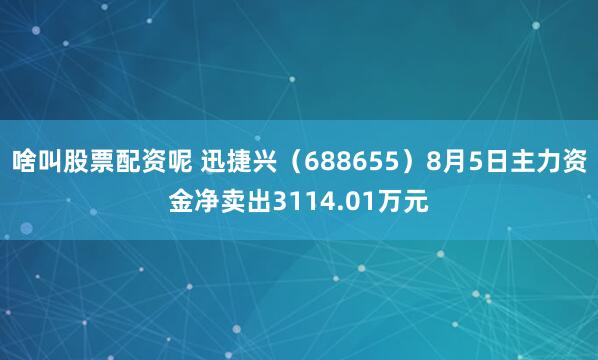 啥叫股票配资呢 迅捷兴（688655）8月5日主力资金净卖出3114.01万元