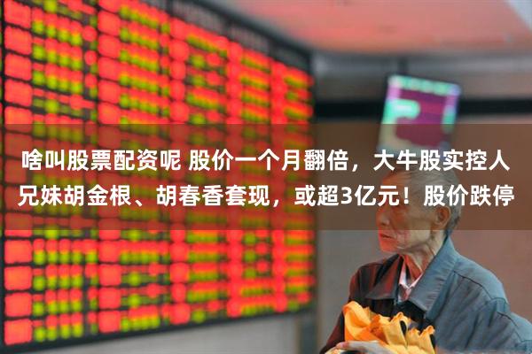 啥叫股票配资呢 股价一个月翻倍，大牛股实控人兄妹胡金根、胡春香套现，或超3亿元！股价跌停